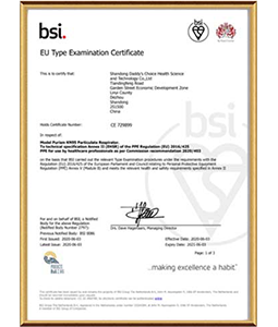CE Certification Module Bissued by BSI