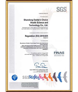 CE Certification Module C2 issued by SGS