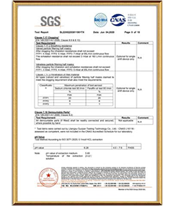 CE SGS EN149 FFP2 Test Report