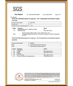 SGS Test Report EN 455